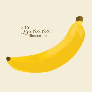 Banana Illustration 