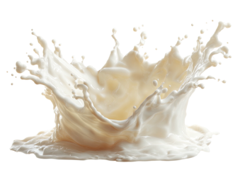 Creamy white liquid splashes upward, crown-like form
