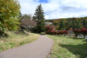 長野県の蓼科湖畔の紅葉の季節の散策路