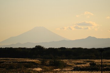 秋の渡良瀬から見える夕もやの富士山