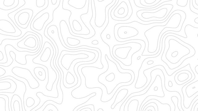 Minimal topography map lines pattern white modern abstract shape