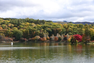 長野県の蓼科湖畔の秋の風景