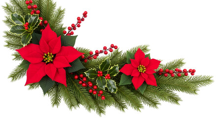 Christmas poinsettia and holly garland with red berries and green fir branches, isolated on transparent background