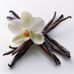 Vanilla Beans And Orchid Flower Arrangement