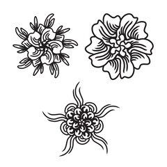 Set of hand drawn black mandala , asian traditional design oriental elements.