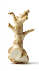 Close Up Of Horseradish Root Against White Background