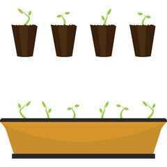 Four small seedlings in brown pots arranged in a row above a long orange planter with five tiny green sprouts growing from dark soil under bright even lighting