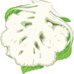 Fresh cauliflower florets with green leaves isolated on white background healthy food concept natural organic vegetable close up view detailed texture