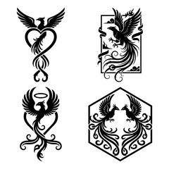 Phoenix bird vector illustration set