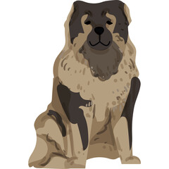 Fluffy Caucasian Shepherd Dog Sitting Portrait Neutral Expression Tan Brown and Black Fur Detailed Illustration No Background