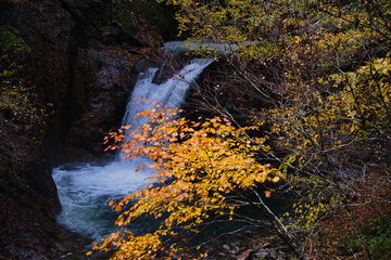 山梨県の西沢渓谷の紅葉