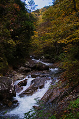 山梨県の西沢渓谷の紅葉