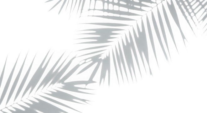 Shadows of palm leaves on a transparent background, abstract and minimalist