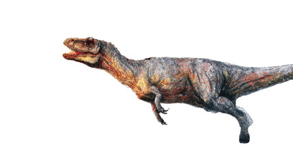 Fototapeta premium 3D render of a Tyrannosaurus Rex dinosaur monster or beast with an eye isolated on white background for a toy or wildlife image