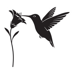 Obraz premium Hummingbird feeding on a flower silhouette colouring page