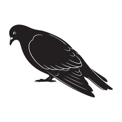 Fototapeta premium Silhouette of a pigeon on white background colouring page