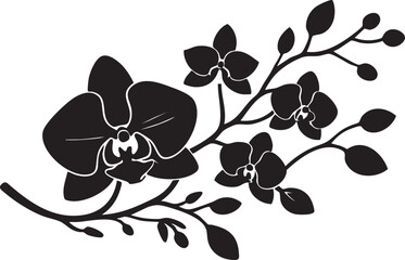 Black orchid vector graphic: floral design element for crafts and decoration eps silhouette