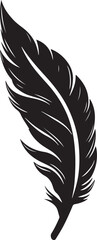 Obraz premium Black feather, a symbol of freedom, lightness, and inspiration 