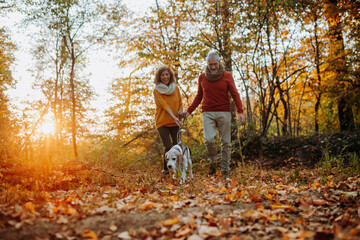 Elderly man and woman walking their dog in nature on autumn day.