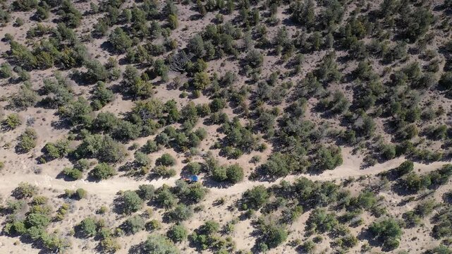 Aerial drone view of a truck driving through a pine forest in the historic pony express trail
