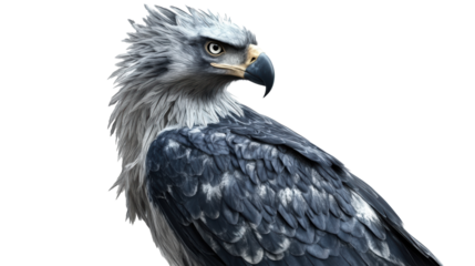 Portrait of harpy eagle with fierce gaze

