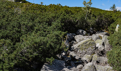 Sudetes, Giant Mountains, Śnieżne Kotły, Schneegruben, Szklarka, Kamienczyk, wodospad, Karkonosze, Sudety