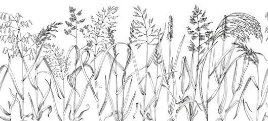 Wild grasses sketched seamless border © Marina Gorskaya