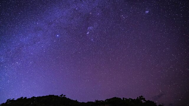 4K Night Sky Time-lapse Photography.  Constellation Direction ：Canis Major、Orion、Eridanus 、Lepus. Early morning of November 1st. Honolulu, Oahu, Hawaii.  Milky Way. Scaevola taccada (beach cabbage) 
