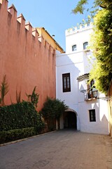 Naklejka premium View of Callejón del Agua in Seville, Spain. With traditional Andalusian architecture, colorful walls, plants, and sunlight creating a picturesque scene in the historic Jewish quarter.
