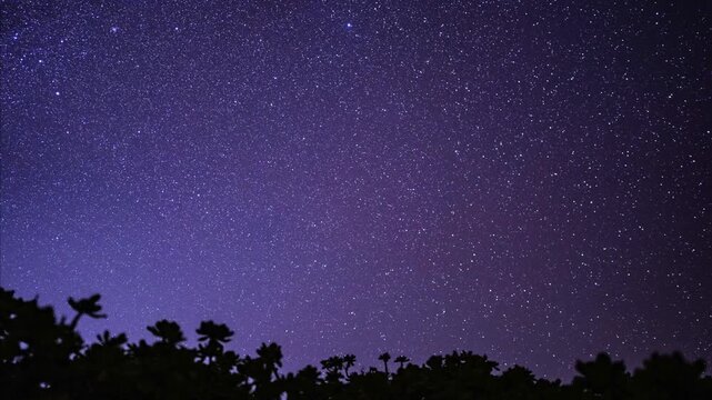 4K Night Sky Time-lapse Photography.  Constellation Direction ：Eridanus 、Lepus 、 Columba、Caelum. Early morning of November 1st. Honolulu, Oahu, Hawaii.  Milky Way. Scaevola taccada (beach cabbage) 
