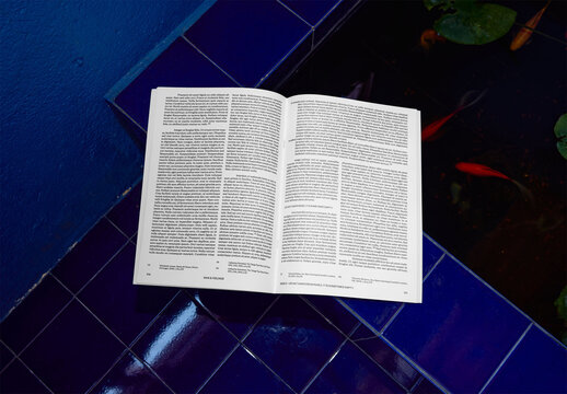 Mockup Of Customizable Open Magazine, Flash