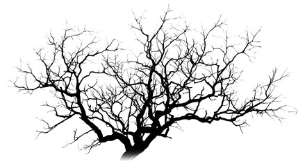 Delicate bare tree branches forming intricate patterns, perfect for winter or natural design elements