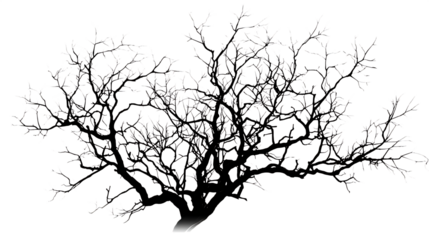 Delicate bare tree branches forming intricate patterns, perfect for winter or natural design elements