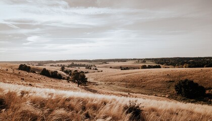 Wide open rural landscape featuring tall golden grasses and scattered trees under a pale sky. Neutral earthy palette with warm beige and brown hues, evoking a minimalist fall mood.