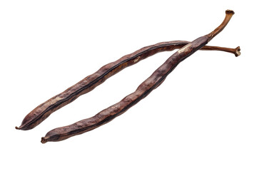 Obraz premium Two dried purple bean pods isolated on transparent background. Long bean isolated on white background.