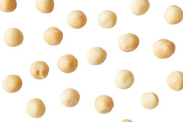 Fototapeta premium A collection of dried macadamia nuts isolated on transparent background. Macadamia nuts isolated on white background.