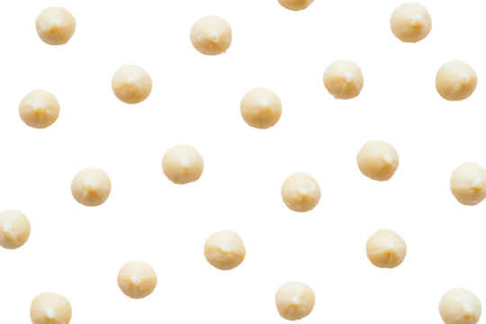 A collection of dried macadamia nuts isolated on transparent background. Macadamia nuts isolated on white background. - Powered by Adobe