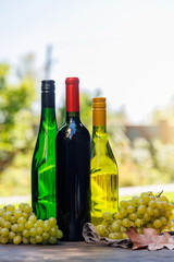 Fototapeta premium Wine bottles with grapes on a wooden table, glowing with sunny bokeh in the background