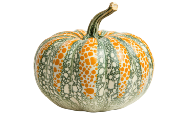 Single striped pumpkin isolated on transparent background. Studio shot of a nice ornamental pumpkin on white background.