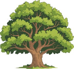 Mature tree, thick trunk, sprawling branches, dense green canopy, deciduous foliage, natural landscape, healthy growth, forest nature, outdoor environment, timeless beauty © Amelia's orld