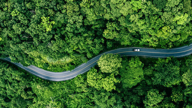 Road in the middle of the forest , road curve construction up to mountain, Rainforest ecosystem and healthy environment concept