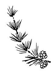 Coniferous trees. Larch branch with cones. Nature, plants and vegetation. Hand-drawn vector drawing with a black outline. Ink sketch.