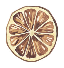 Watercolor dried orange slice on transparent background.