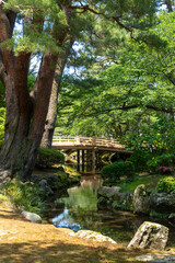 Peaceful stream and pine trees in Kenroku-en, Kanazawa, Japan