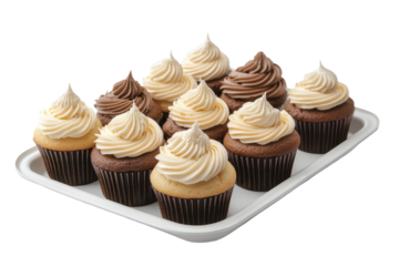 Eight chocolate mini cupcakes with white frosting on a white tray isolated on transparent background. Tray of cupcakes isolated on white background.