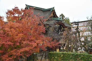雨あがりの北野天満宮　濡れたモミジと三光門(京都市上京区)