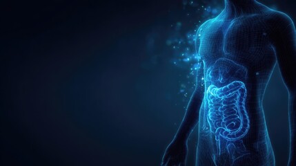 Digital illustration of a human body with a glowing digestive system, showcasing intricate details of the intestines and organs against a dark background, emphasizing health and anatomy