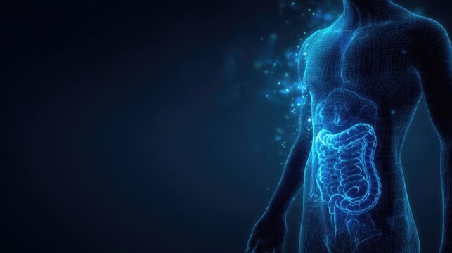 Digital illustration of a human body with a glowing digestive system, showcasing intricate details of the intestines and organs against a dark background, emphasizing health and anatomy