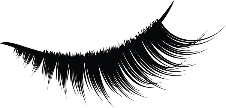 Luxurious black false eyelashes accentuating beauty and glamour for makeup enhancement isolated on transparent background