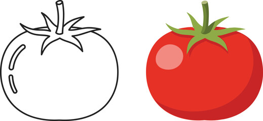 Ripe red tomato and outline drawing comparison fresh produce and simple sketch isolated on transparent background